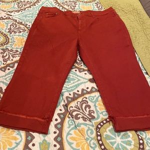 Lucky Brand Burnt Sienna Emma Crop